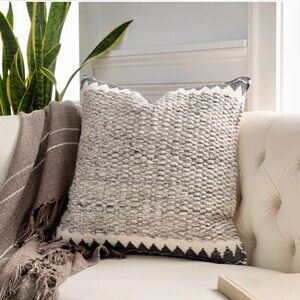 Indoor Outdoor Pillows from Wayfair with Cases and Down Pillow inserts (2 avail)